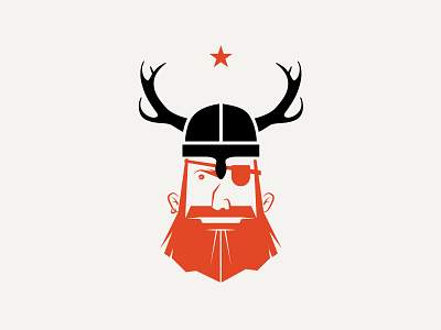 Skaalvenn Spicy beard branding illustration spiced viking