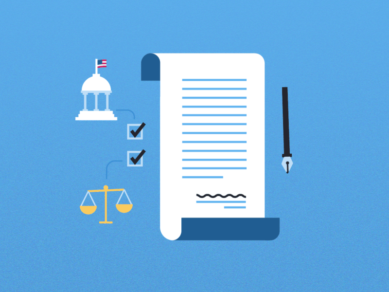 Checks & Balances animation bill government law policy