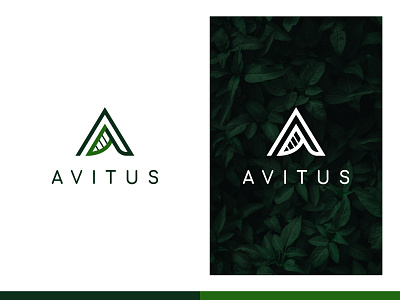 "AVITUS" letter mark logo branding design flat graphicdesign icon illustration logo logomark minimal vector