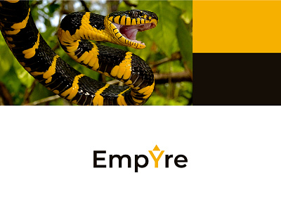 Color Inspiration from Snake. 🐍🐍 (V.4) branding color design flat graphicdesign illustration inspiration logo minimal snake vector