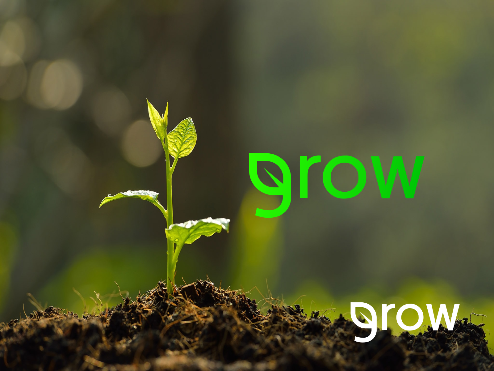 Grow Logo ! by Mizan on Dribbble