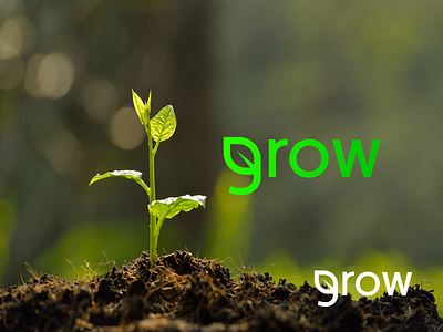 Grow Logo ! baby tree logo branding combination logo creative logo grow grow logo logo design logo idea minimal logo seed seed logo target logo tree tree combination logo tree logo word combination logo wordmark logo