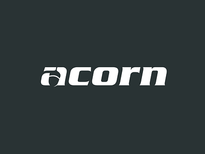 acorn