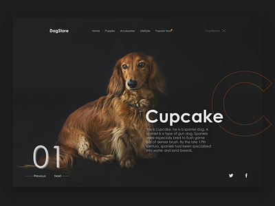 DogStore Website Design UI concept design designer dogs pet ui ux web web design webdesign website