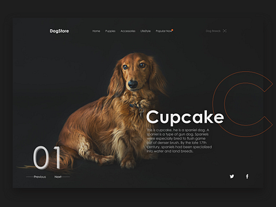 DogStore Website Design UI