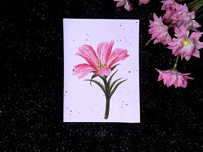 Floral Watercolour Illustration