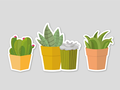 Succulents | Adobe Creative Challenge design digital art graphicdesign illustration succulents vector visual design