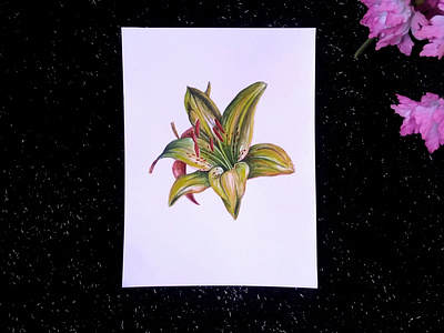 Floral Study Illustration