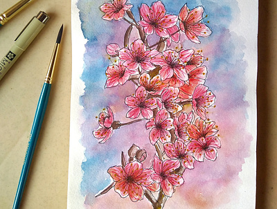 Sakura - Cherry Blossoms | Watercolour Illustrations floral floralart graphicdesign illustration traditional art visual design watercolor