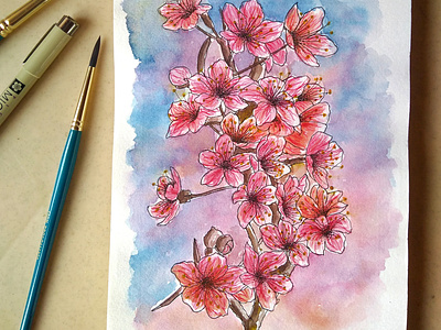 Sakura - Cherry Blossoms | Watercolour Illustrations