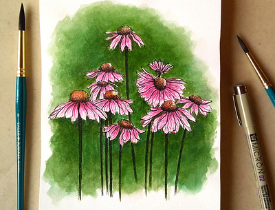 Coneflowers | Watercolour Illustrations design floral design floralstudy graphicdesign illustration traditional art visual design watercolor