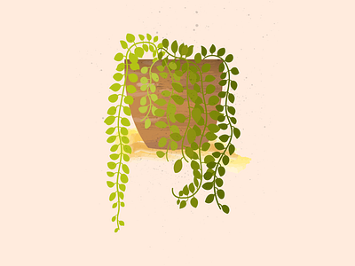 Dischidia Illustration adobe illustrator adobe photoshop botanical botanical illustration digital digital art digital illustration digitalart dischidia green illustraion illustrator indoorsplant nature nature illustration plants plantsillustration pot surface pen