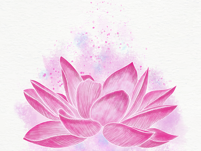 Lotus Illustration