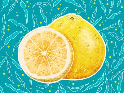 White Grapefruit illustration