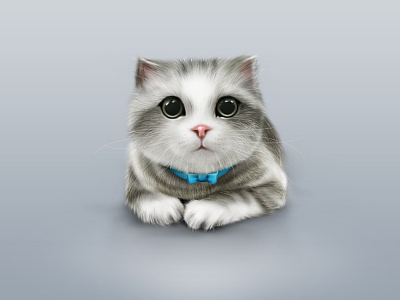 Cat cat cute icon zelfy