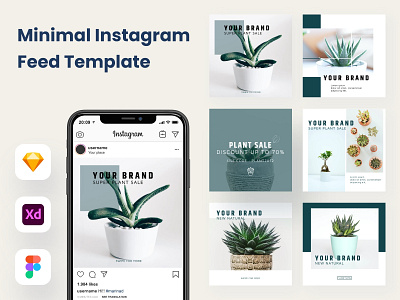Feed Template Instagram