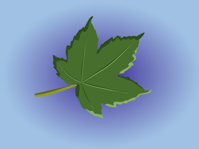 Sycamore cartoon cs5 design graphic graphics green illustration illustrator leaf nature plant science tree