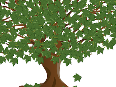 Sycamore tree cartoon cs5 design graphic green illustration leaf nature plant science tree
