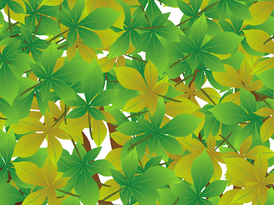 Lotsa Leaves cartoon cs5 design graphic graphics green illustration illustrator leaf nature plant science tree
