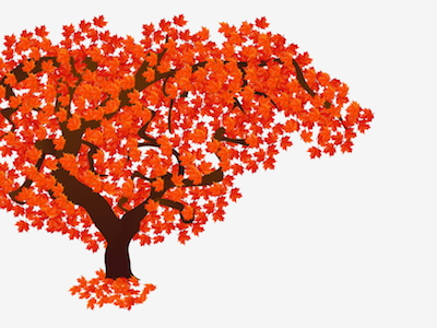 Japanese Maple cartoon cs5 design graphic graphics green illustration illustrator leaf nature plant science tree