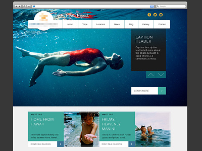 Vacation Web Design debut design gallery home page swim ui vacation web website