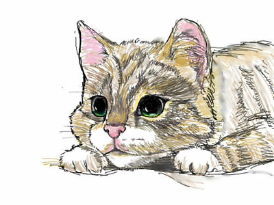 A cat paintings—fan arts