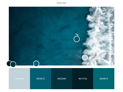 Color Palette | Colorful app branding color cool design dribbble illustration logo typography ui ux