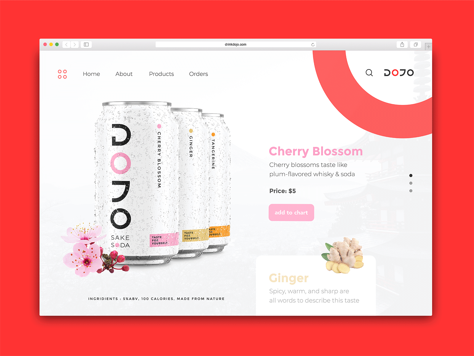 Dojo Brand Application Design