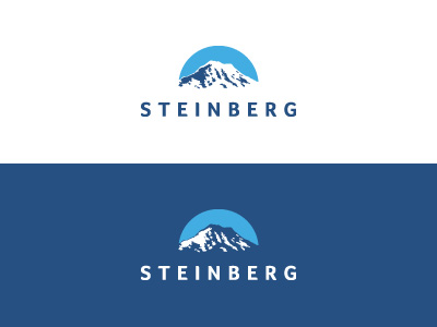 Steinberg blue image logo mountain rocks white
