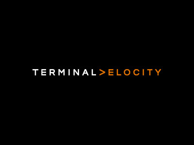 Terminal Velocity