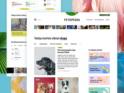 Petopedia: website about our beloved pets animals colorful desktop figma homepage news pets portal ui web website