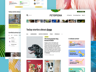 Petopedia: website about our beloved pets