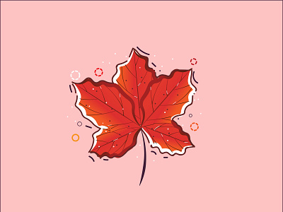 Maple Leaf animation design flat graphics design icon illustration illustrator logo vector