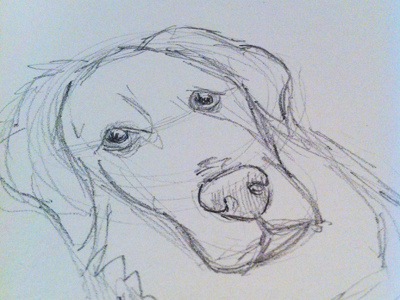 Max (WIP) dog pencils sketch