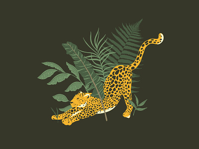 Leopard in Jungle