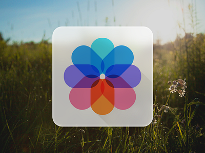 ios7 Photo album icon album gui icon ios ios7 photo