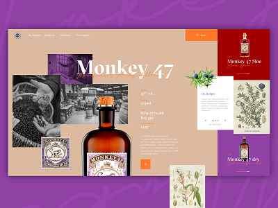 The legendary Monkey 47 e commerce gin interaction design ui ui design user experience user interface ux ux design web design website