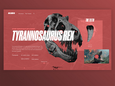 Detail page for dinosaurs history website design dinosaur interaction design landing page ui ui design user experience user interface ux ux design web design website