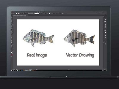 Fish Vector Illustration design event artwork flyer artwork graphic design illustration re design redrawn vector vector arts vector illustration vector tracing