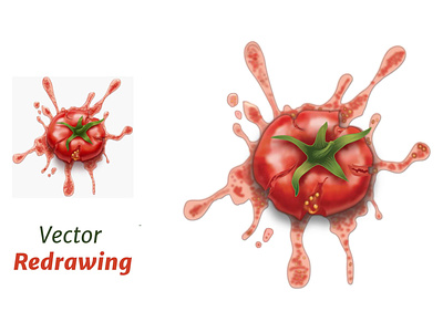 Tomatoo Vector Drawing