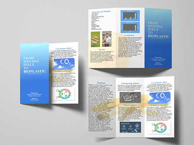 BOSEPO - Brochure design brochure color design flyer illustration illustrator photoshop vector