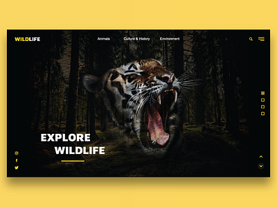 Wildlife | Landing Page design forest graphic graphic design tiger ui uiux web web design wildlife