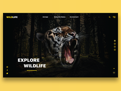 Wildlife | Landing Page