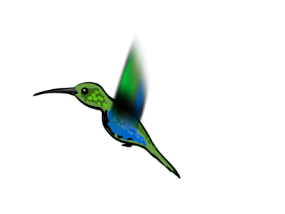 not angry hummingbird 2d animation hummingbird