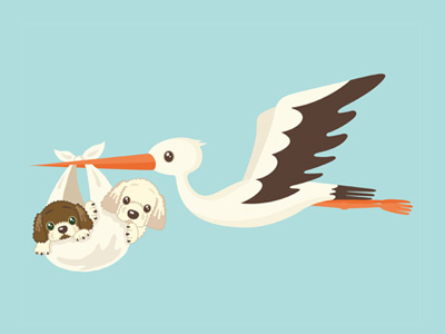 Goldendoodles And Stork animal.canine bird characters dog illustration pet puppy vector