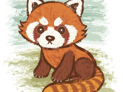 Red Panda animal characters cute illustration panda red panda vector wild animals