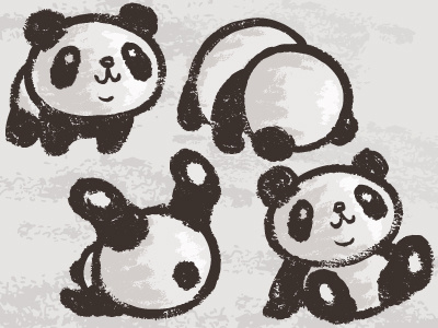 Rolling Panda animal bear characters illustration panda vector wild animals