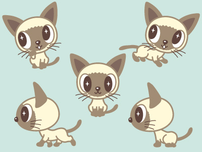 Siamese Cat american shorthair animal cat characters illustration kitten pet siamese cat vector