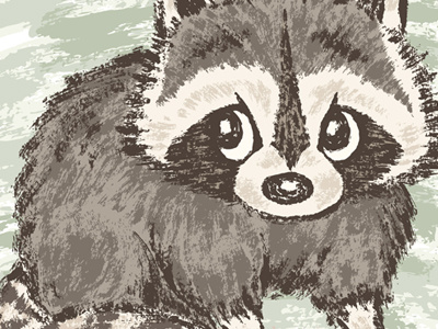 Raccoon