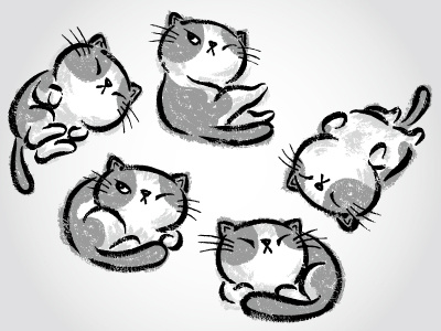 Impudent Cats Relax animal cat characters illustration kitten pet vector